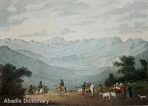 ویلیام جان برچل